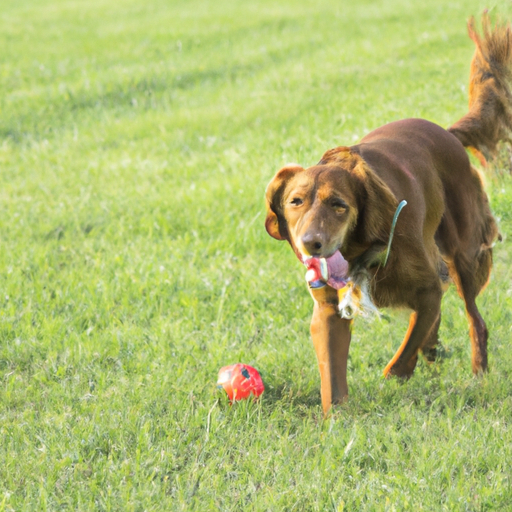 min hund hoster som om den har noget galt i halsen