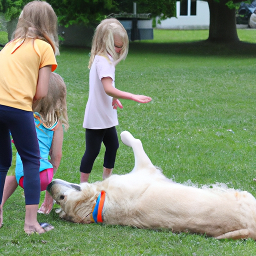 øremider hund