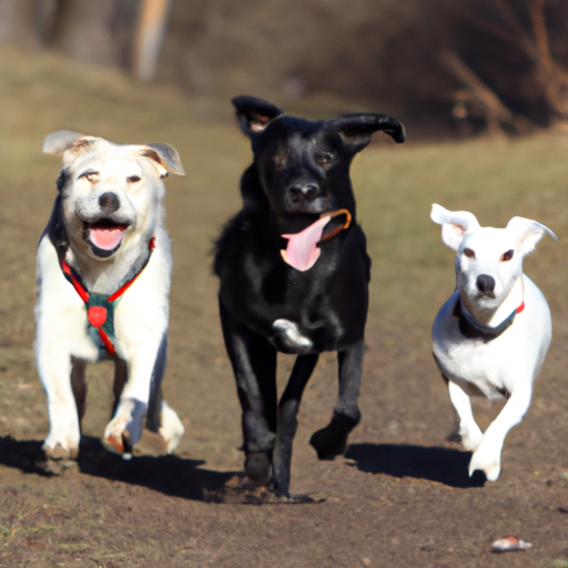 sådan viser du din hund at du elsker den