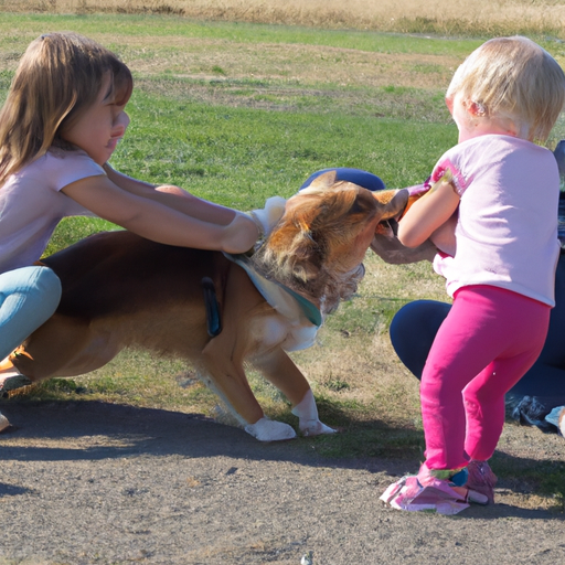 sikkerhedssele til hund