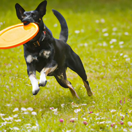 sommerhus med hund indhegnet grund