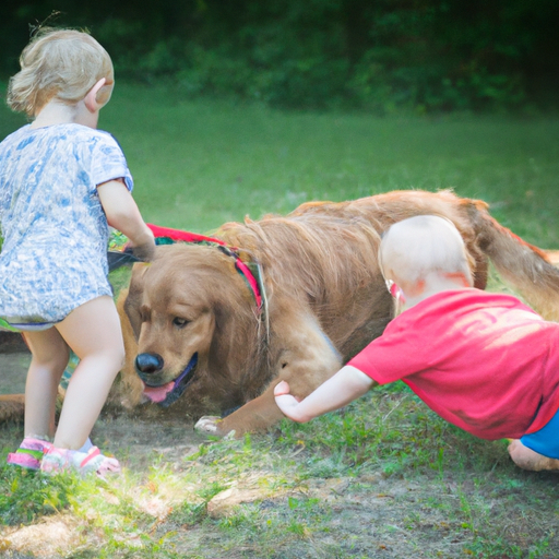 vaccination hund