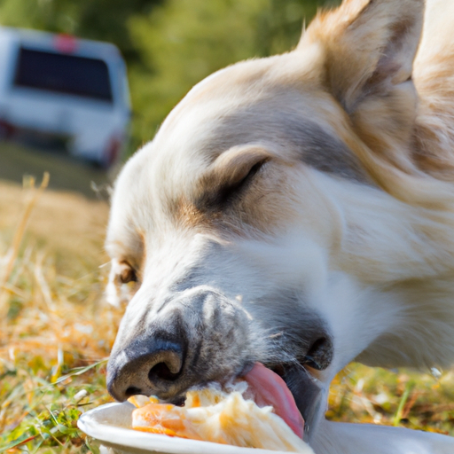 verdens ældste hund